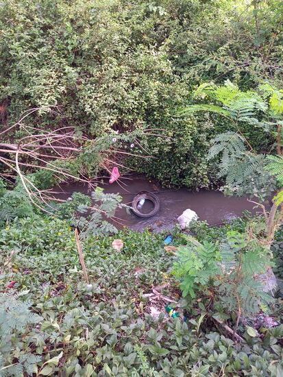 Im Fluß sieht es so aus...