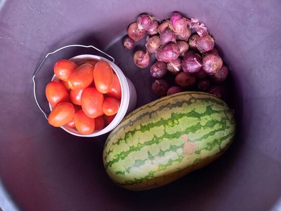 Ich habe spontan noch etwas Geld für Obst und Gemüse gespendet.