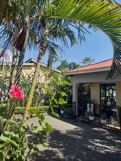 Im Hof vom Hostel gibt es schattige Plätze  