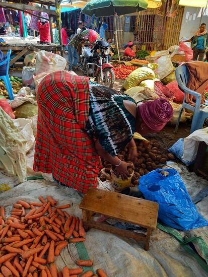 Wir kaufen Gemüse,  Obst, Fisch und Fleisch.