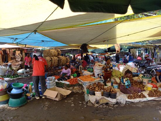 Das Angebot ist riesig und jeder versucht ein Geschäft zu machen.  Der Preis ist jeweils reine Verhandlungssache.