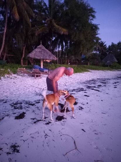 Morgens früh 6Uhr am Strand. Die Hunde passen auf, das kein Fremder auf das Gelände kommt.
