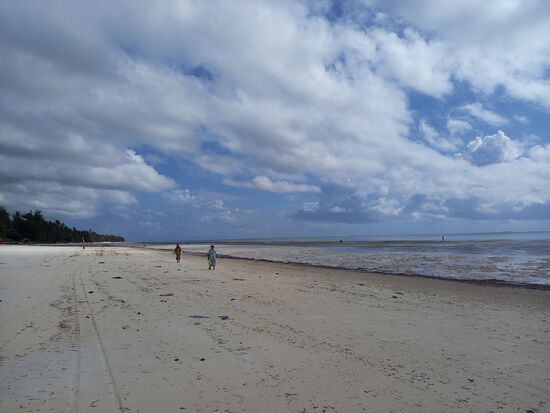 Früh morgens, wenn Ebbe ist, schwärmen Frauen aus um Schnecken und Muscheln zu sammeln.