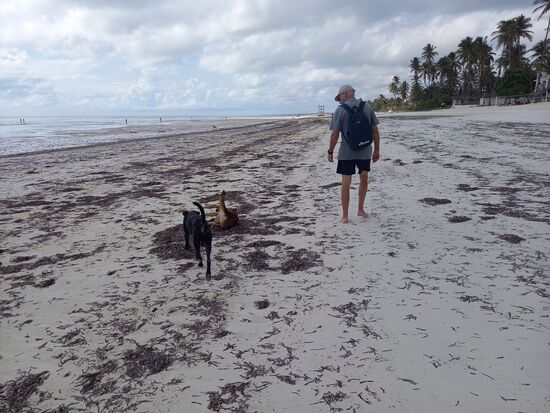 Auch wir gehen in den Morgen Stunden oder am späten Nachmittag spazieren, denn dazwischen ist es viel zu heiß und drückend.