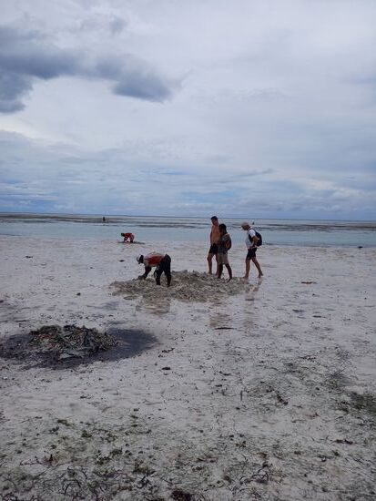 Hier wird nach Seeringelwürmer gegraben. Die werden zum Fischfang verwendet.