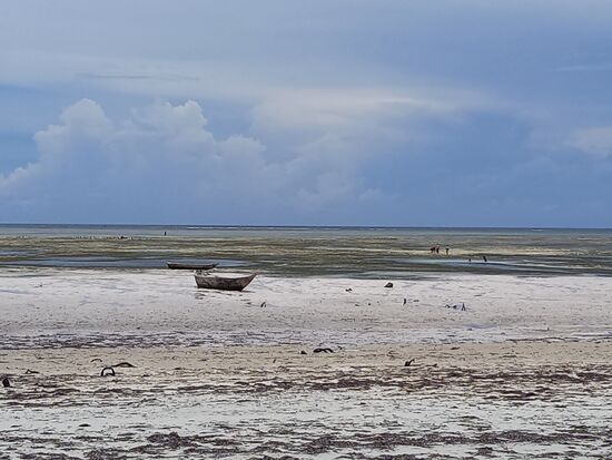 Wenn die Flut kommt fahren sie mit ihren Booten raus zum Fischfang.