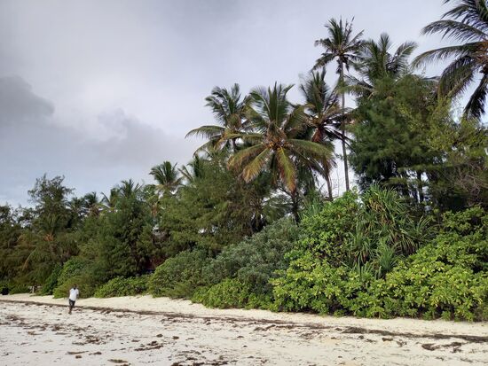 Es gibt auch noch ein paar naturbelassene Grundstücke. Hoffentlich bleiben sie noch lange erhalten.