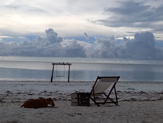 So entstehen immer neue Stillleben.