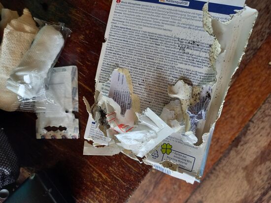 Die Wärmepflaster angefressen  