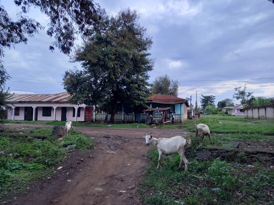 Ich fange noch ein paar Eindrücke ein.