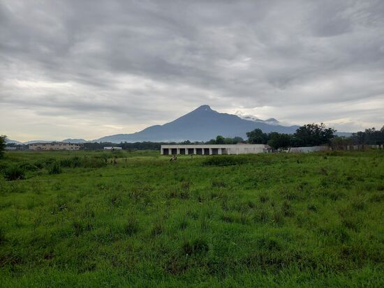 Es regnet jetzt jeden Tag wirklich heftig.