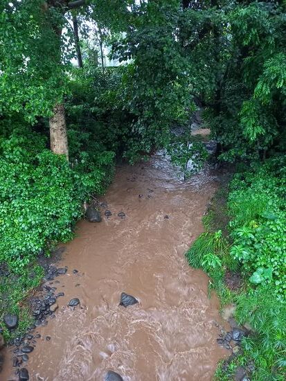 Kleine Rinnsale schwellen an.