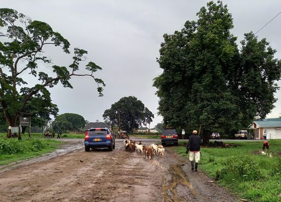Die Straßen werden jeden Tag matschiger.  Vielleicht muss ich mir doch noch Gummistiefel kaufen. Eine Regenjacke habe ich zum Glück dabei.