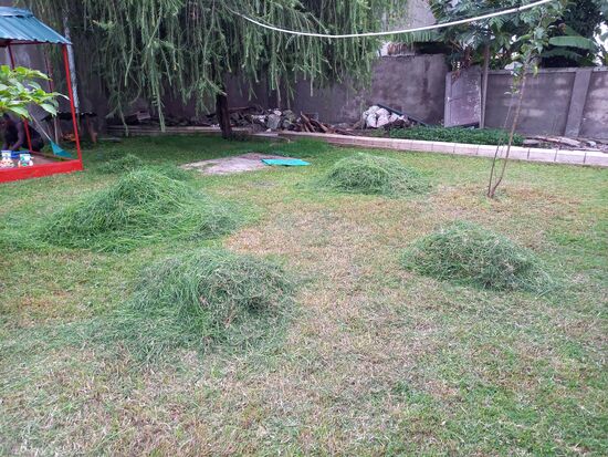 Der Rasen war schon sehr hoch, daher hat es sich gelohnt.