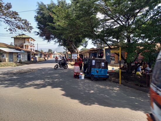 Schon auf der Fahrt zur Kaffee Farm gab es entlang des Weges einiges zu entdecken.
