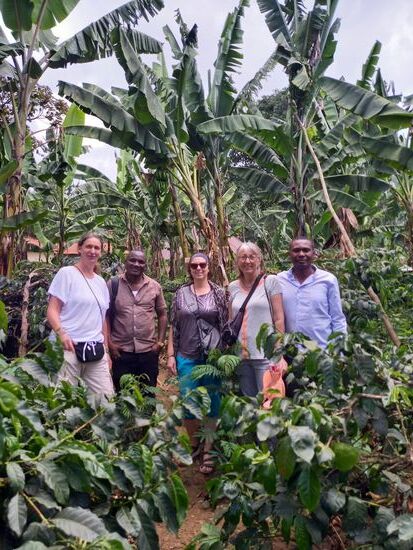 Den Schatten spenden Bananen Stauden.