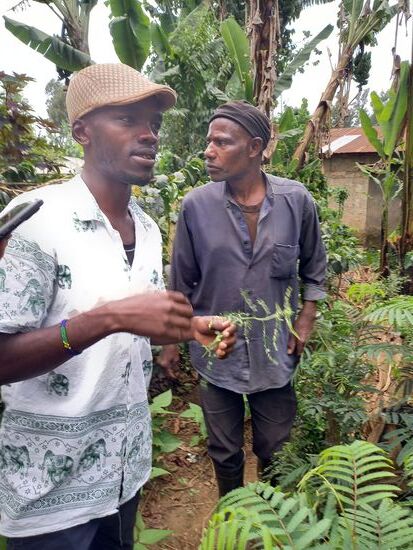 Leider konnte ich mir die Namen der Pflanzen und ihre Wirkungen auf unseren Körper nicht merken  