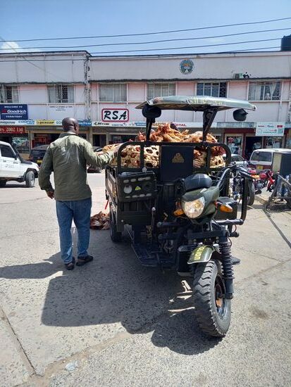 Anlieferung neuer Hühner für den Markt.