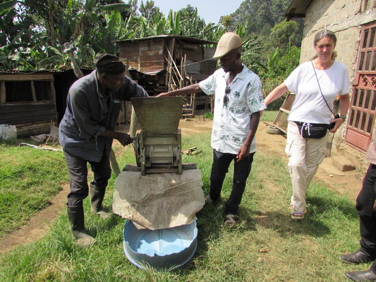Da der Besitzer kein Englisch spricht, ist der junge Mann als Übersetzer dabei. Hier wird uns gezeigt,  wie das Fruchtfleisch der Kaffee Kirsche von der Bohne getrennt wird.