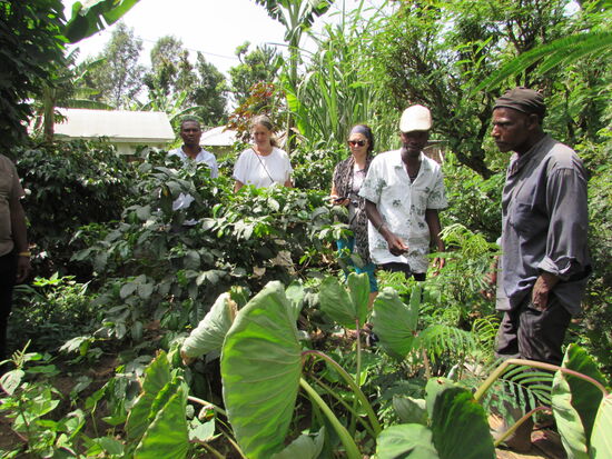 Die Pflanzenvielfalt ist groß.