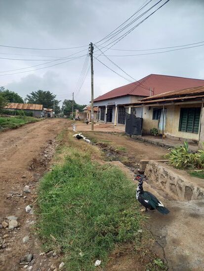 Der Himmel ist nun sehr häufig Regen verhangen.