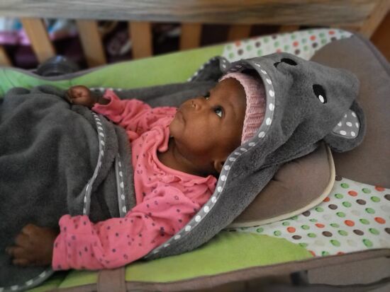 Ansonsten kümmern wir uns täglich um die süßen Kleinen  - füttern, wickeln, spielen,  kuscheln und Berge an Wäsche.  Dazwischen die Überlegungen,  wie kommen wir finanziell durch den nächsten Monat.