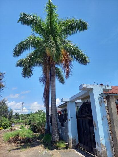 Das Wetter ist wechselhaft. Mal strahlend blauer Himmel und dann heftiger Regen.