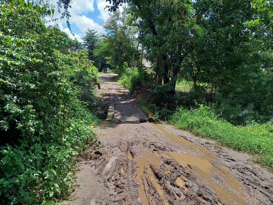 Auf dem Weg zum Café muss ich mir den Weg durch die Matsche bahnen.