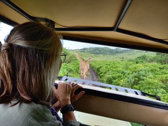 Im Schritttempo folgen wir.