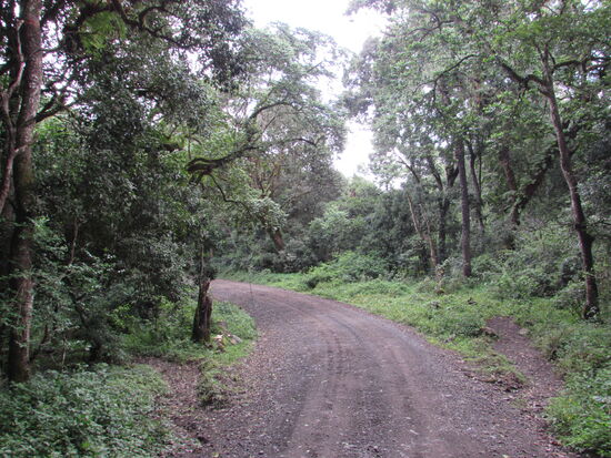 Der Park ist ein einziges Grün. Der richtige Ort um tief Luft zu holen.