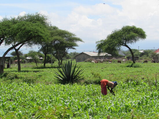 Wir verabschieden uns schließlich und fahren zurück in den Arusha Nationalpark.