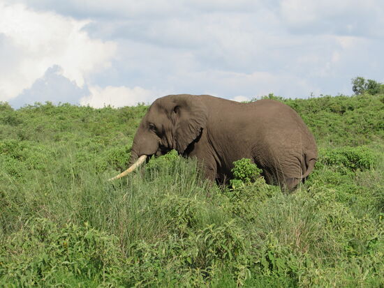 Es gelingt uns näher zu kommen.