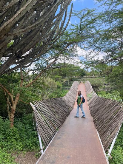 Die Brücke überquert einen Fluss.