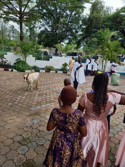 Dann findet eine Versteigerung statt.