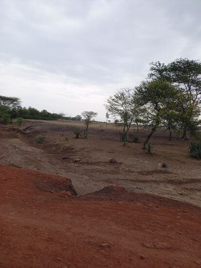 Wir fahren durch die trockene Savanne.  Der Regen wird hier sehnlichst erwartet.
