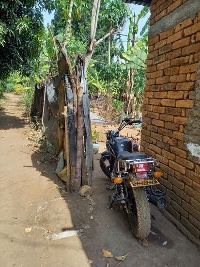 Leider treffen wir nur den älteren Bruder an  
Er versichert, daß der Vater später  zum Baby Haus kommen würde.