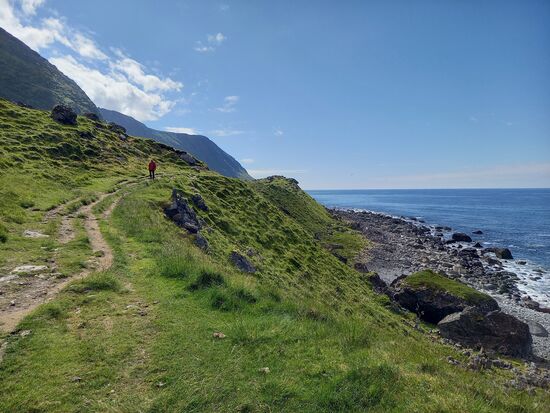 Ein schmaler Trampelpfad führt im sanften auf und ab der Küste entlang. Es lässt sich gut gehen.