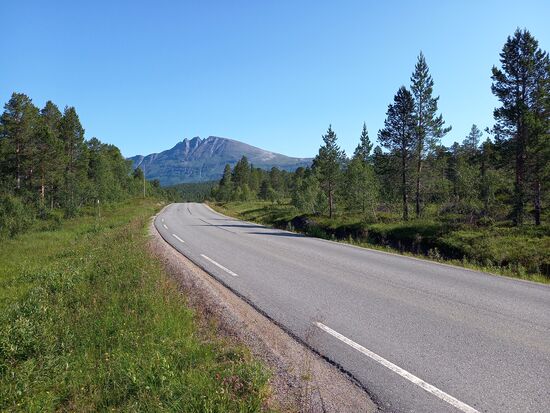 Vesterålen ist viel stärker bewaldet als die Lofoten.