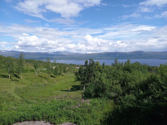 Der Abisko Nationalpark grenzt an den Torneträsk See.