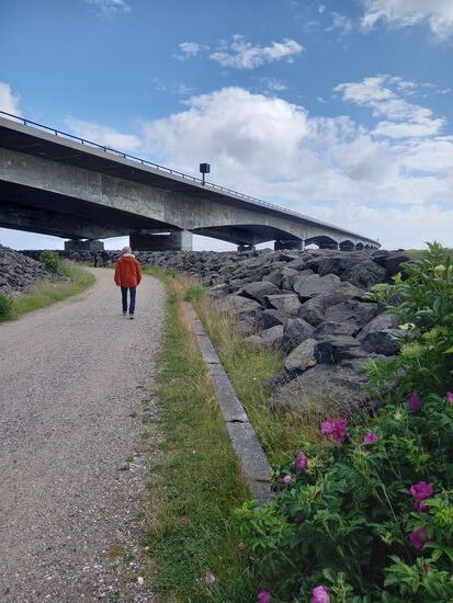 Wir wollen ein Blick unter die Brücke werfen.