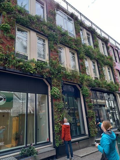 Diese begrünte Fassade zieht unsere Blicke an  