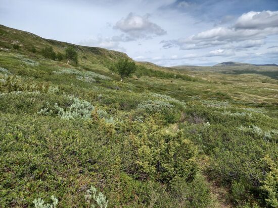 Diese karge, grüne Landschaft tut richtig gut.