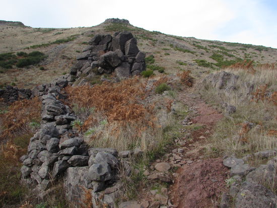 Hier sind auch noch Reste der alten Schafgatter zu finden. Denn hier ist in früheren Zeiten eine Kulturlandschaft durch die Beweidung mit Schafen entstanden.