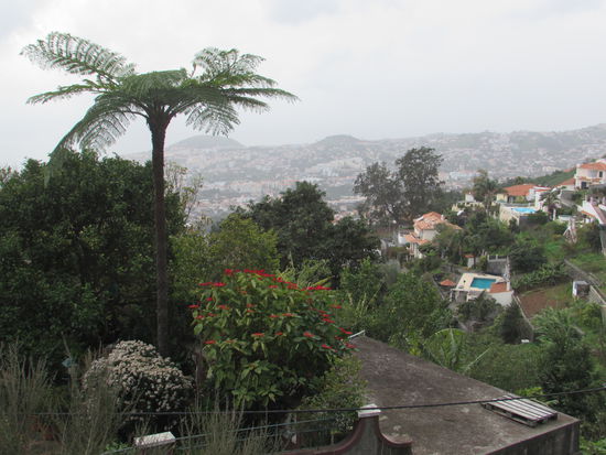 Wir beschließen den Garten Monte Palace Jardim Tropical zu besuchen.
Der Garten ist 7ha groß und so haben wir über 2 Stunden in diesem herrlichen Garten verbracht. Hier ein Blick auf Funchal.