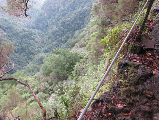 Immer wieder ein Blick in die tiefen sattgrünen Schluchten. 