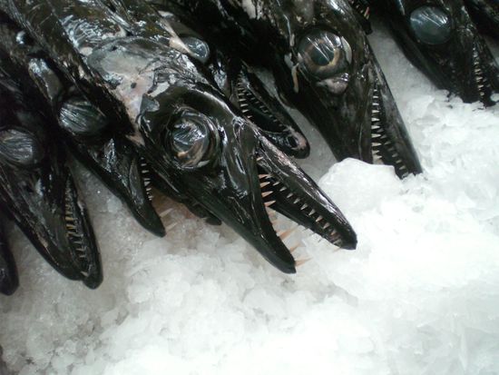 Der schwarze Degenfisch, eine Spezialität auf Madeira.