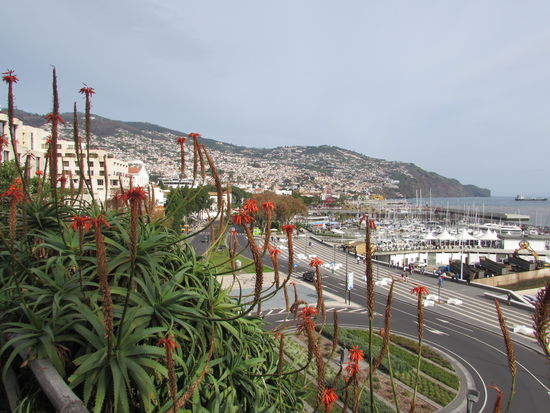 Blick vom Park Santa Catarina auf die Hafenanlage von Funchal.
