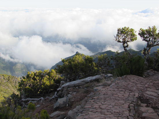 Der Weg ist wirklich gut ausgebaut.
