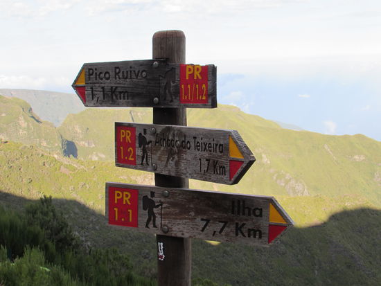 Nun heißt es 7,7km auf ca. 300m abzusteigen, dh 1500m Höhenunterschied überwinden.