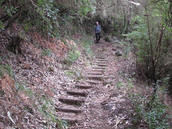 Und immer wieder endlose Stufen abwärts.
